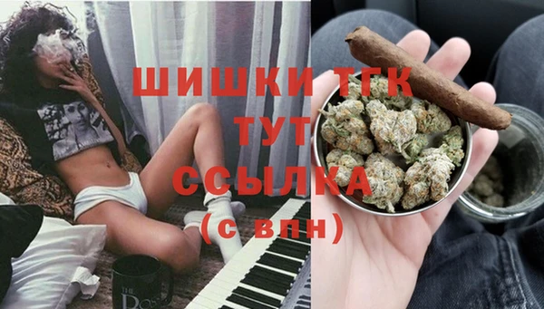 тгк Армянск