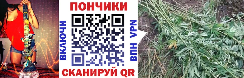 Каннабис индика  Голицыно 